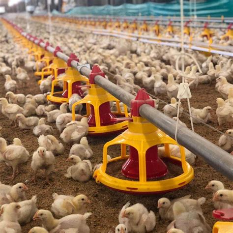 Manufacturer of Poultry, Agriculture & Farm Supplies.